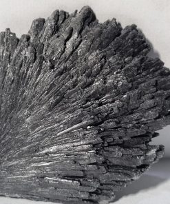 Cyanite noire rhaeticite3