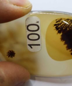 Pendentif agate dentrite extra.