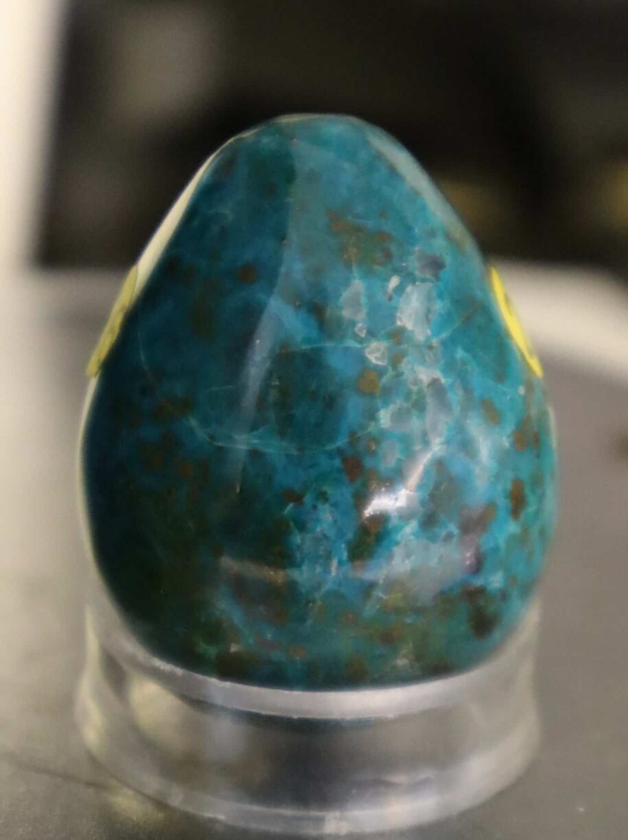 oeuf chrysocolle