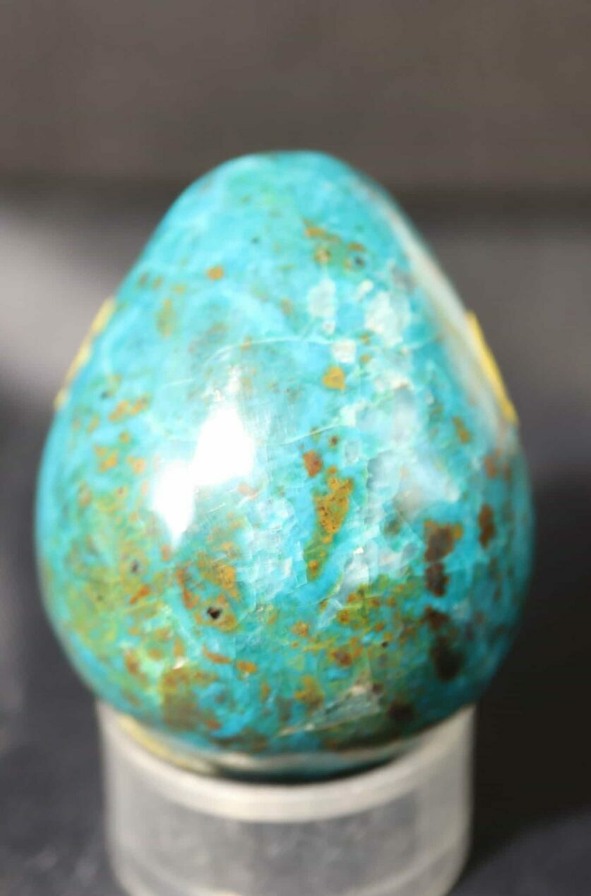 oeuf chrysocolle – Image 2