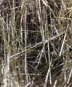 Alternative view of Ilménite et rutile1