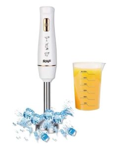 Mixeur Plongeant RAF avec Pot en Plastique