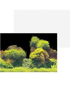 SuperFish Deco Poster E