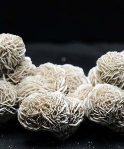 Alternative view of Rose des sables Chihuahua