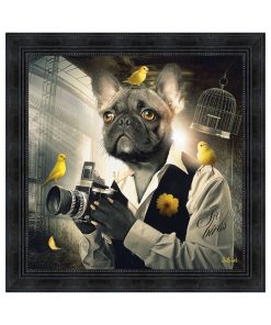 Tableau Sylvain Binet Bouledogue Photographe